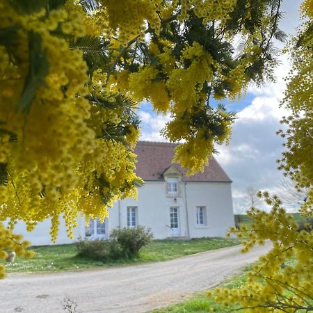 Les Mimosas Villa Gracay Bagian luar foto