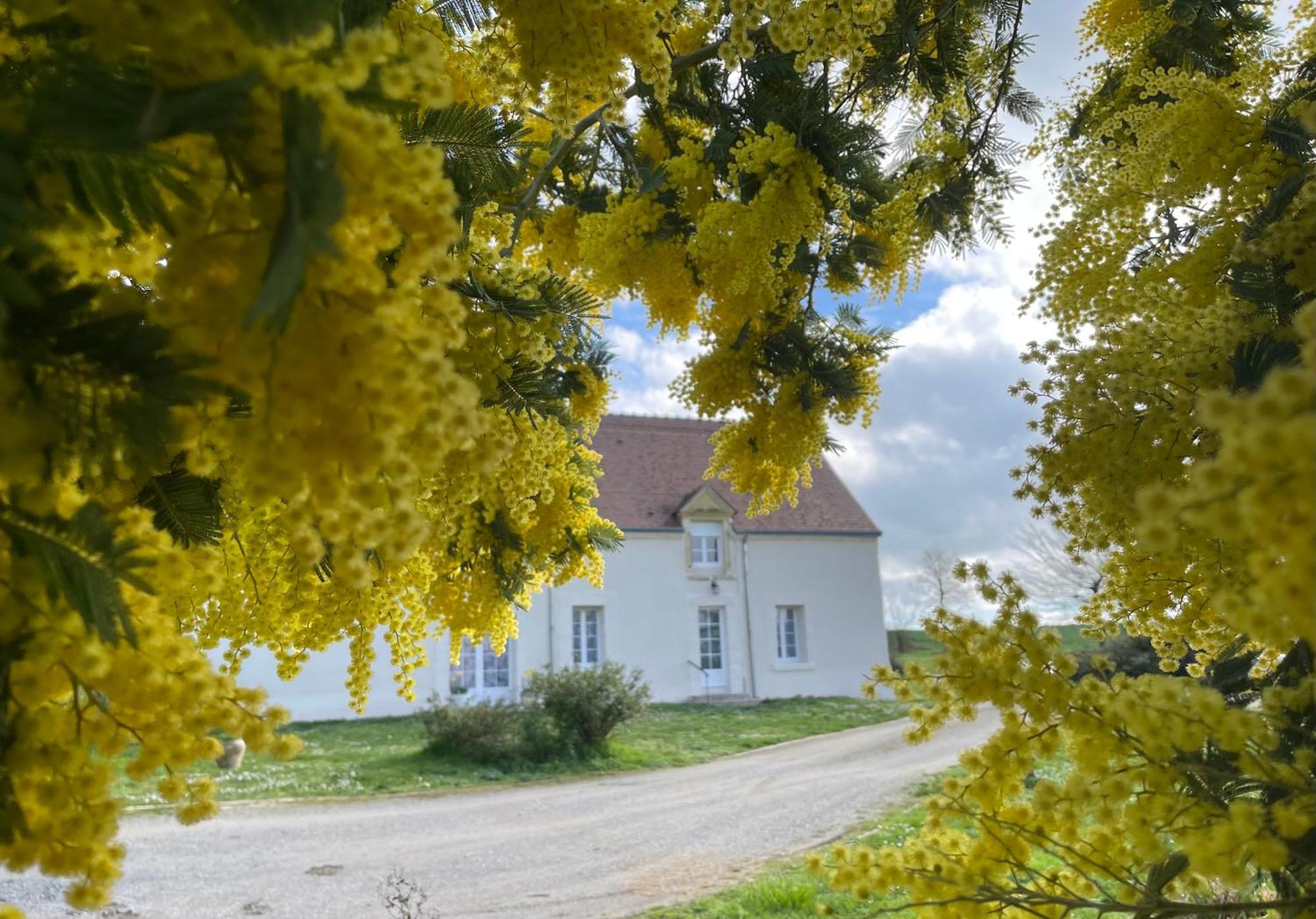 Les Mimosas Villa Gracay Bagian luar foto